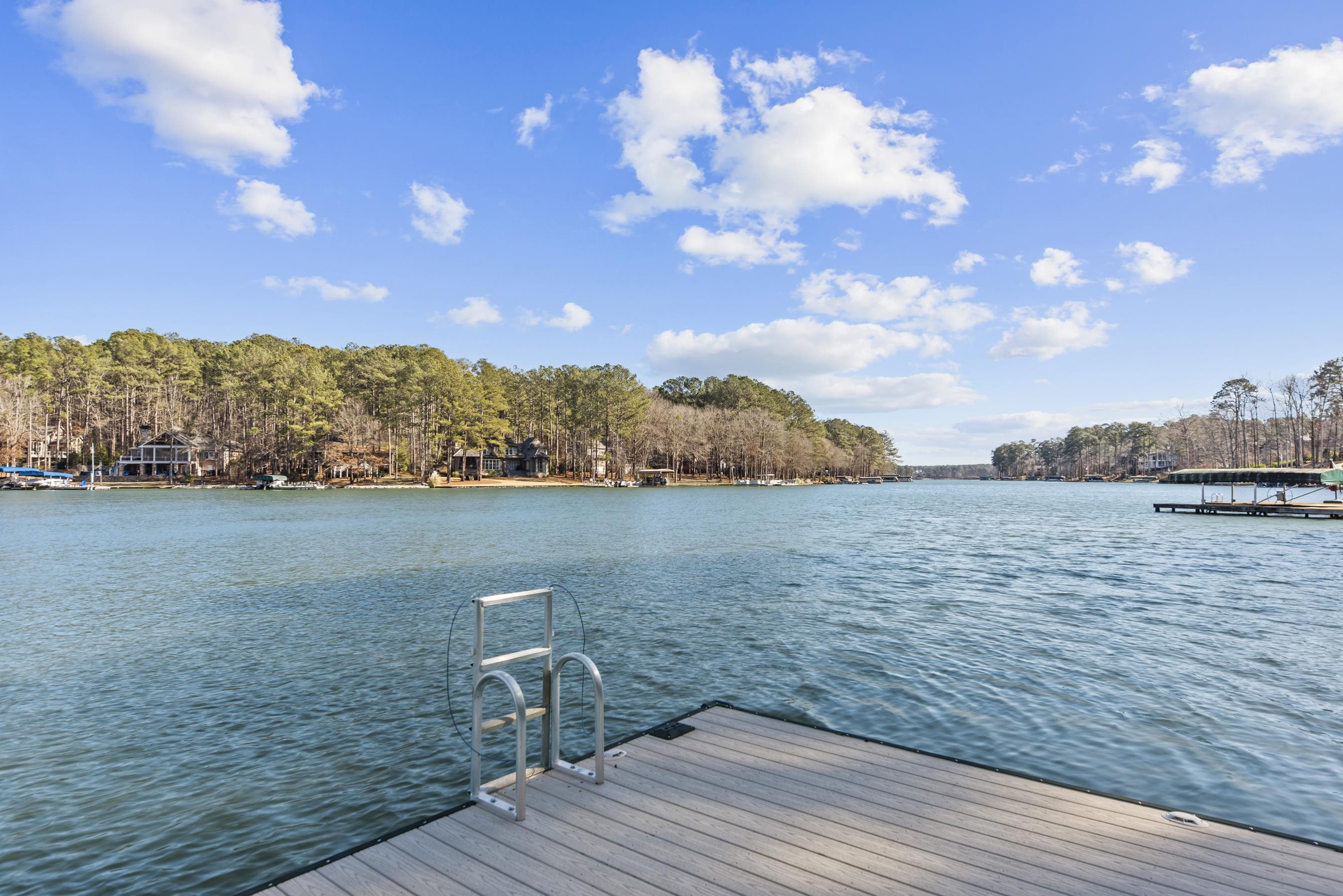 1131 DAVISON DRIVE image 69