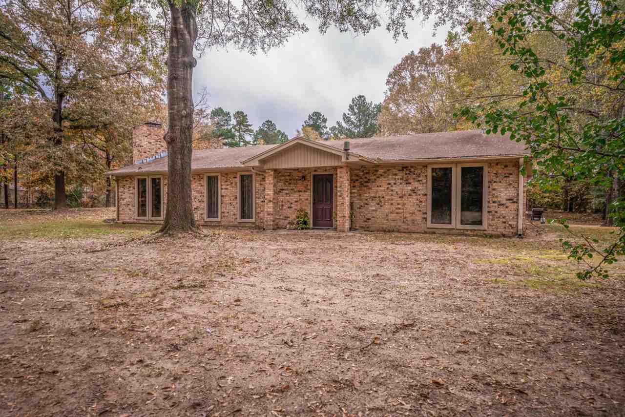 12132 Spider Lily Rd ,Diana, TX 12132 Spider Lily Rd ,Diana, TX