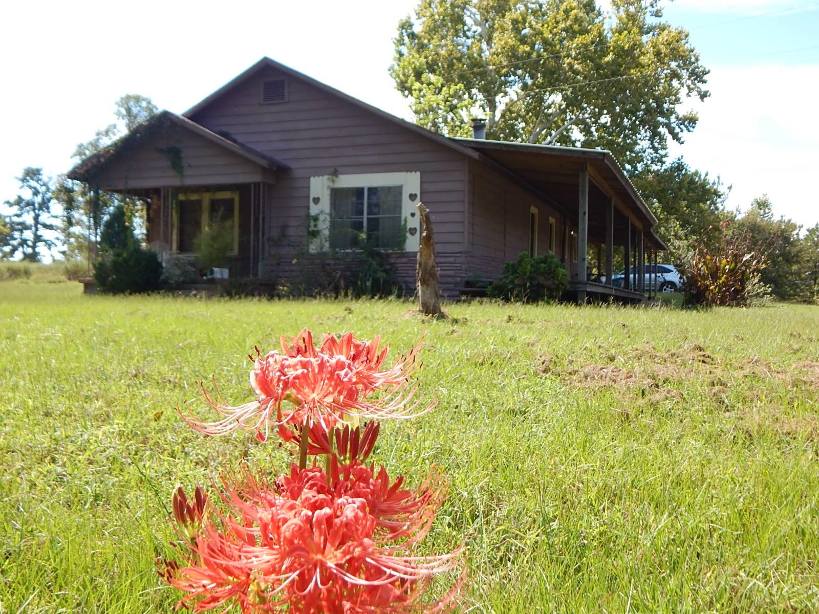 1254 PEACH RD ,Gilmer, TX 1254 PEACH RD ,Gilmer, TX