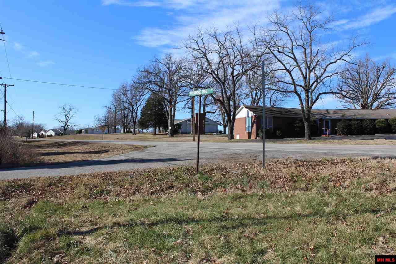 Land and Lots For Sale In Lakeview Arkansas Beaman Realty