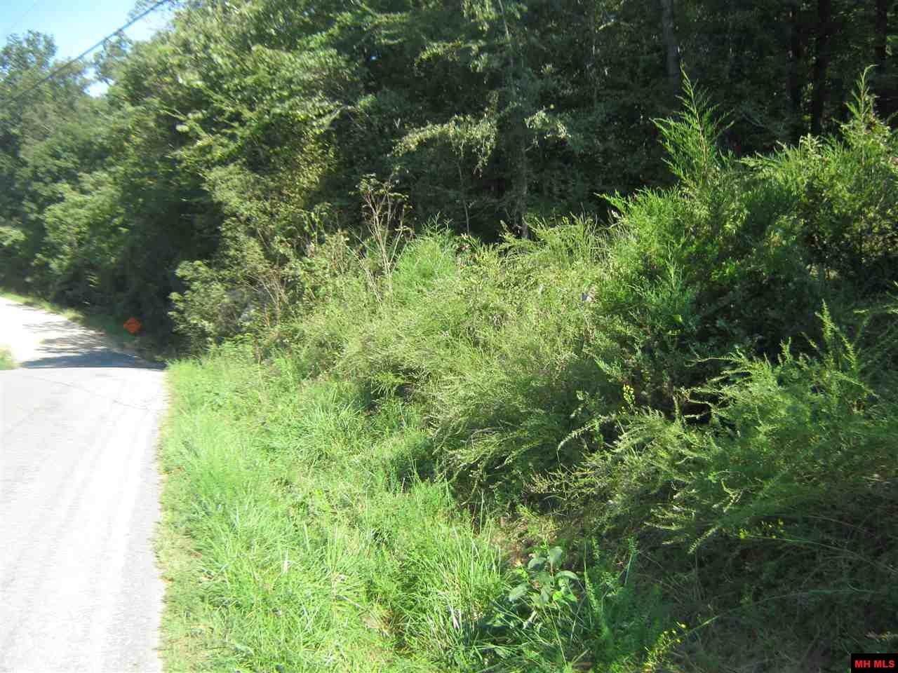 0 MC 6062 Flippin AR - Acreage For Sale - Listing# 117836 ...