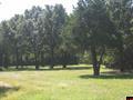 Thumbnail Photo
