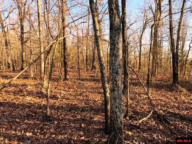 001-00912-001 Thousand Oaks Drive