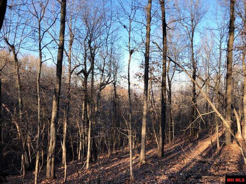 001-00912-001 Thousand Oaks Drive