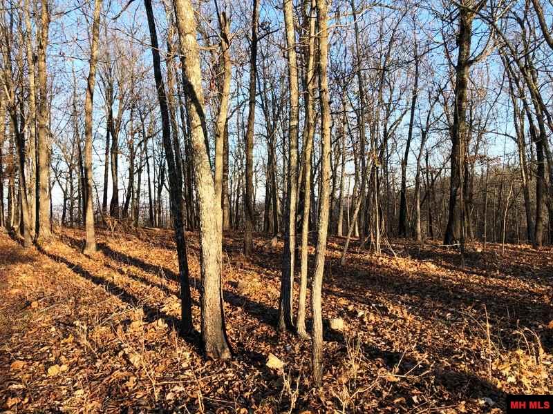 001-00912-001 Thousand Oaks Drive