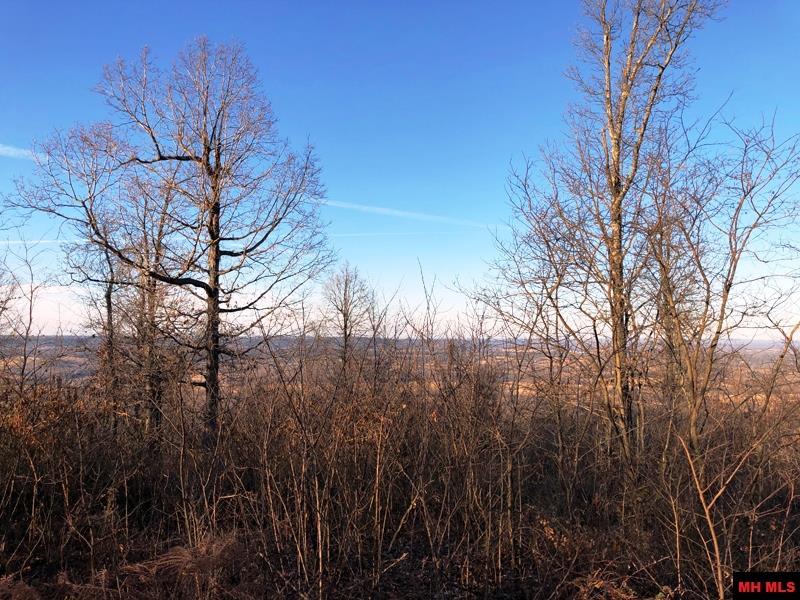 001-00912-001 Thousand Oaks Drive