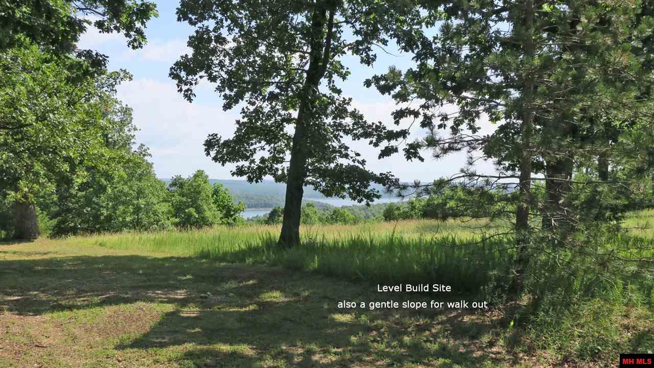 MLS# 119558 - Lot 4 SYCAMORE SPRINGS ROAD Mountain Home ...