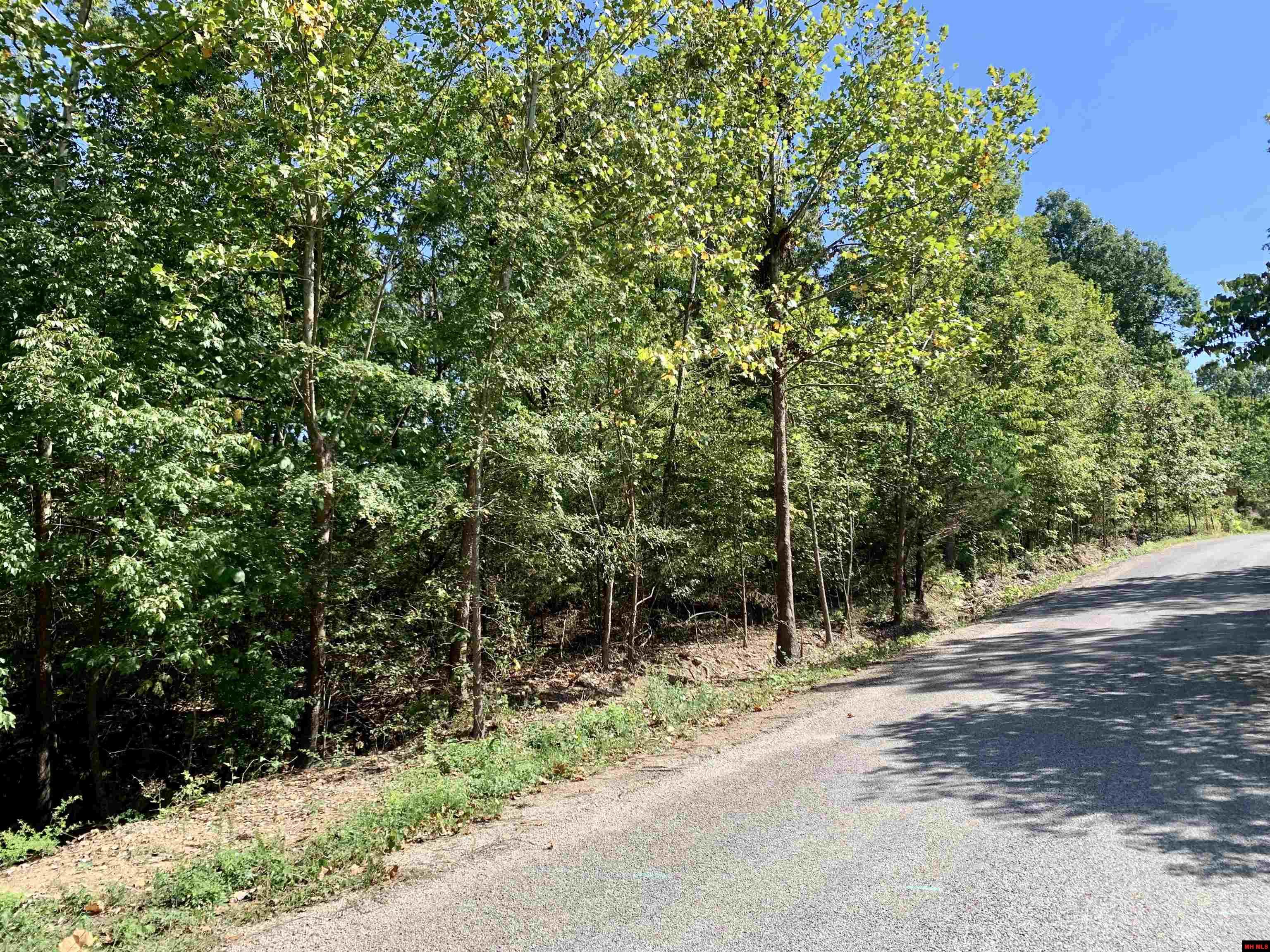 Peglar Real Estate Group Mountain Home, AR