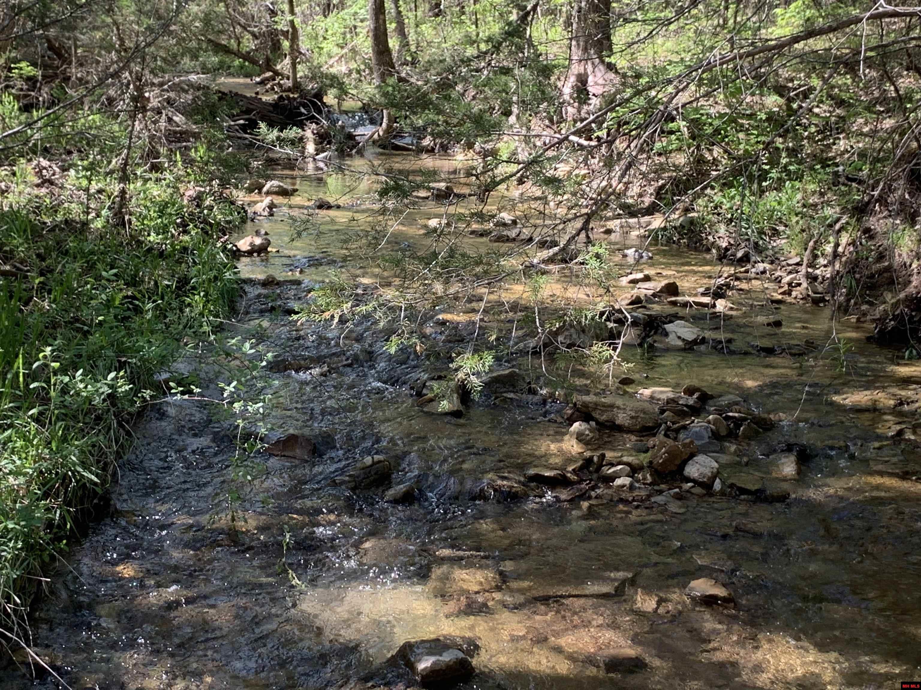 Land and Lots For Sale In Flippin, Arkansas