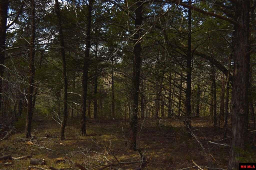 MLS Listings Davenport Realty Yellville, Arkansas