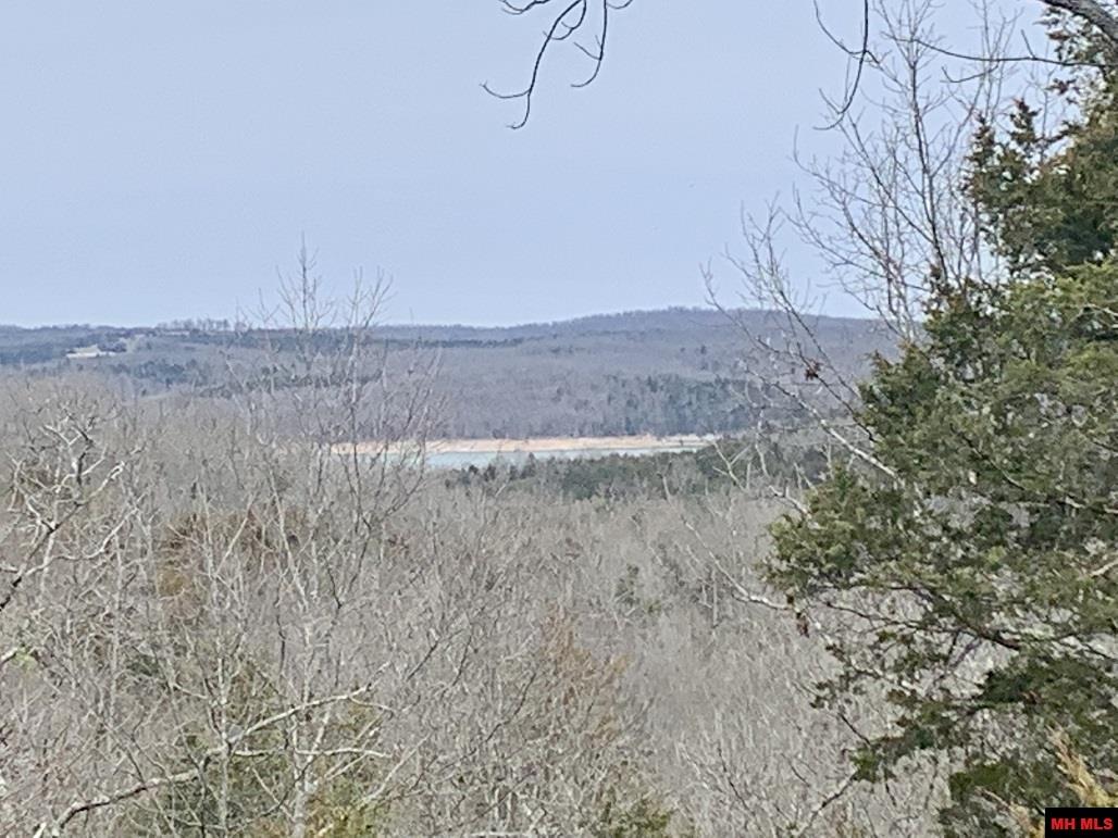 Land and Lots For Sale In Mountain Home Arkansas Beaman Realty