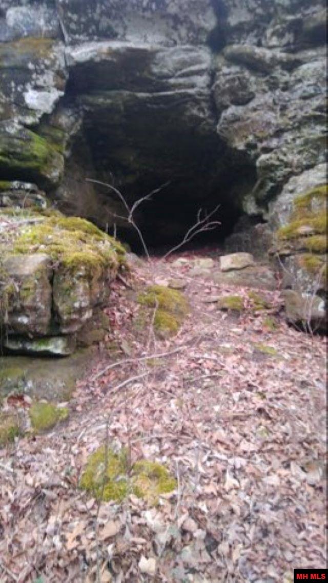 1826 MC 5013 Everton, AR 72633