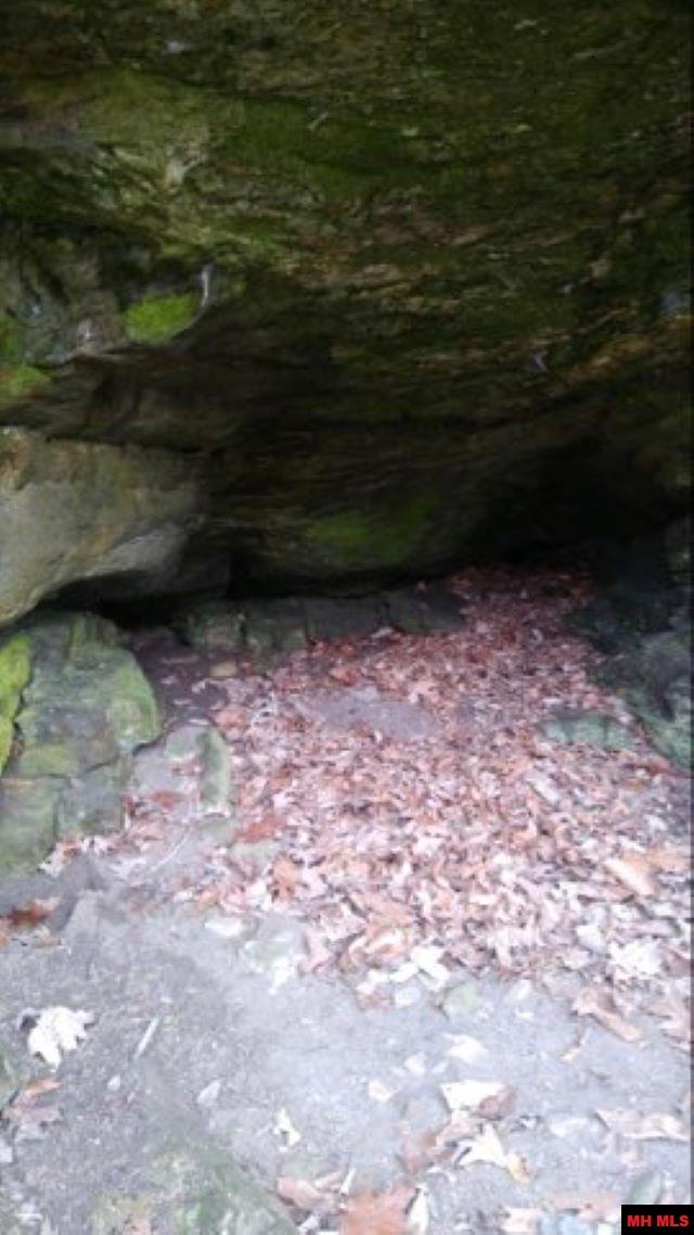 1826 MC 5013 Everton, AR 72633