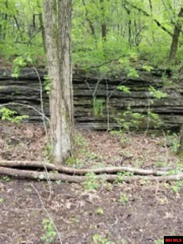 1826 MC 5013 Everton, AR 72633