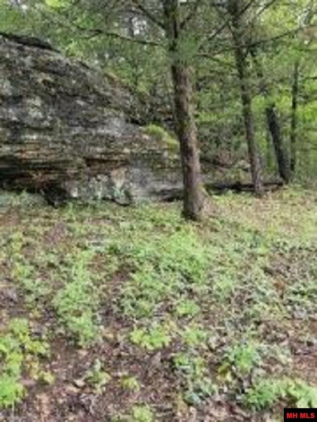 1826 MC 5013 Everton, AR 72633