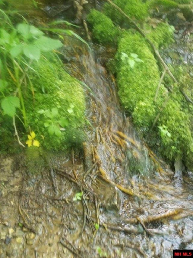 1826 MC 5013 Everton, AR 72633