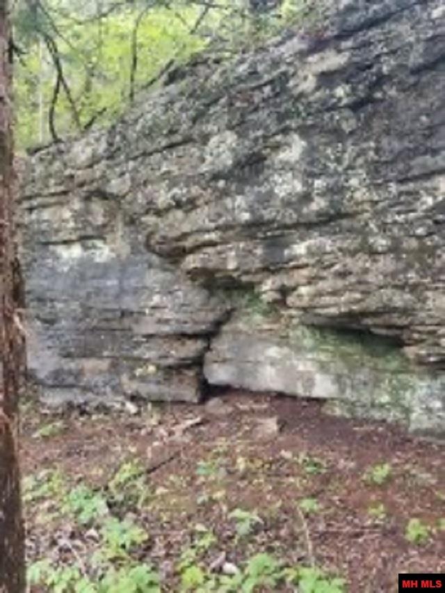 1826 MC 5013 Everton, AR 72633