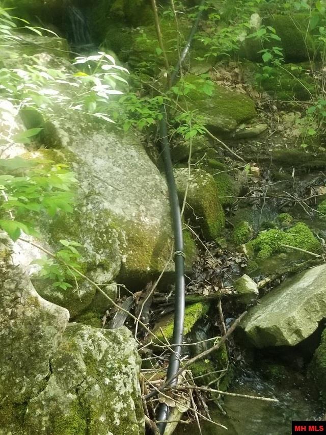 1826 MC 5013 Everton, AR 72633