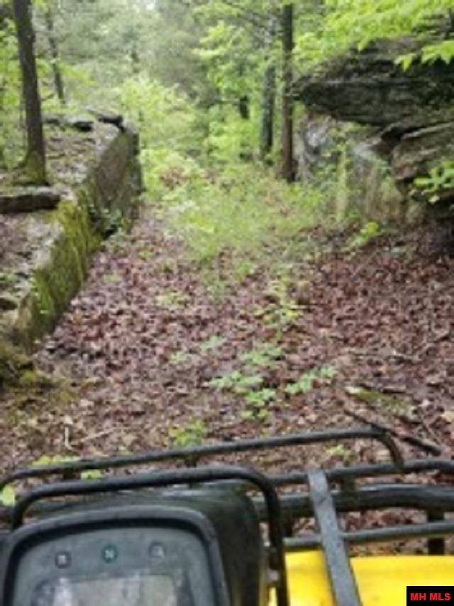 1826 MC 5013 Everton, AR 72633