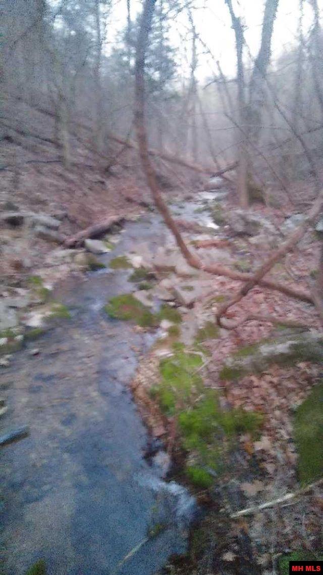 1826 MC 5013 Everton, AR 72633