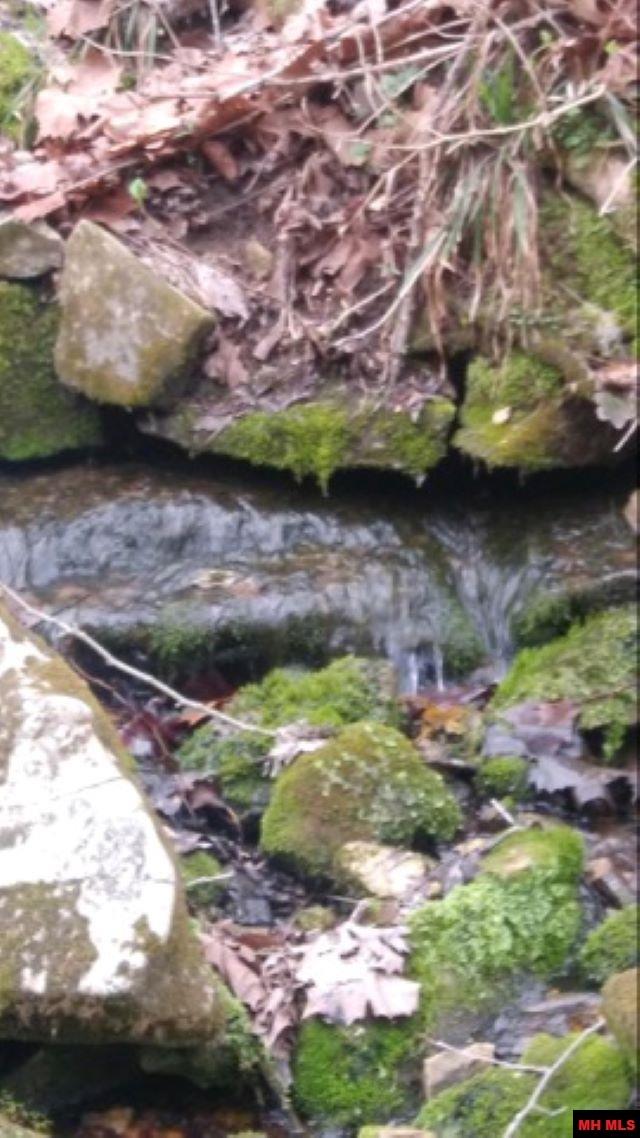 1826 MC 5013 Everton, AR 72633