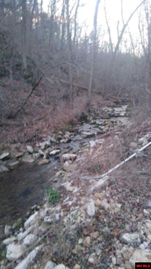 1826 MC 5013 Everton, AR 72633