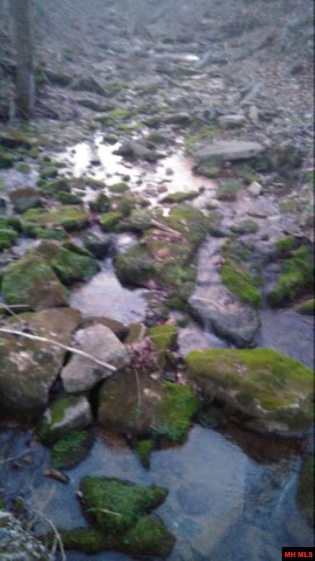 1826 MC 5013 Everton, AR 72633