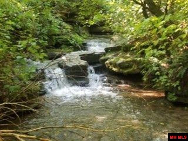 1826 MC 5013 Everton, AR 72633