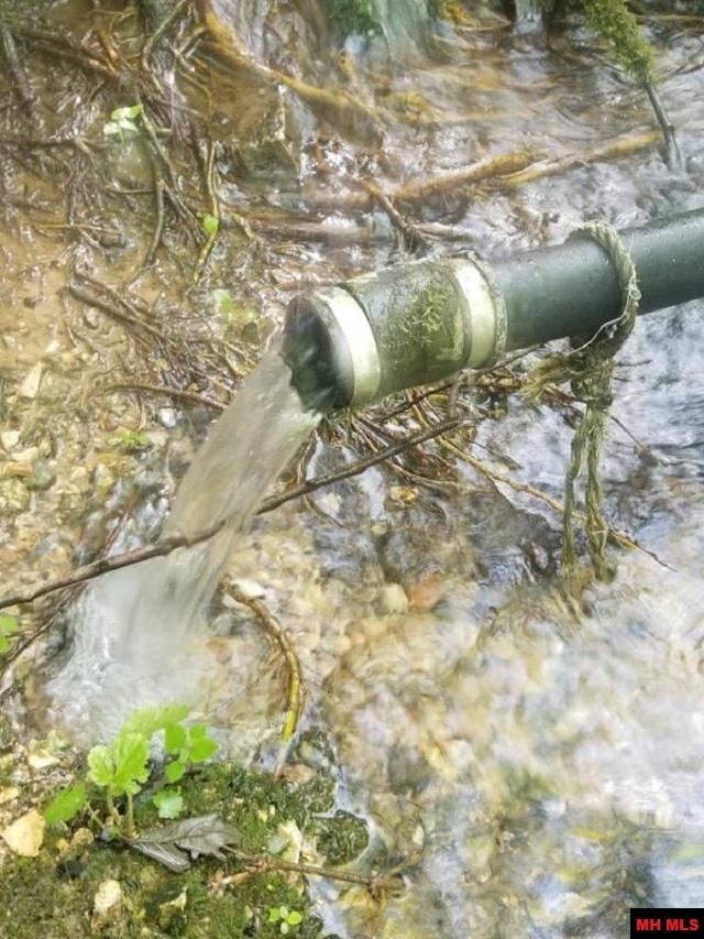 1826 MC 5013 Everton, AR 72633