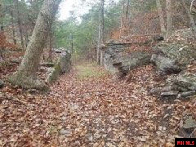 1826 MC 5013 Everton, AR 72633