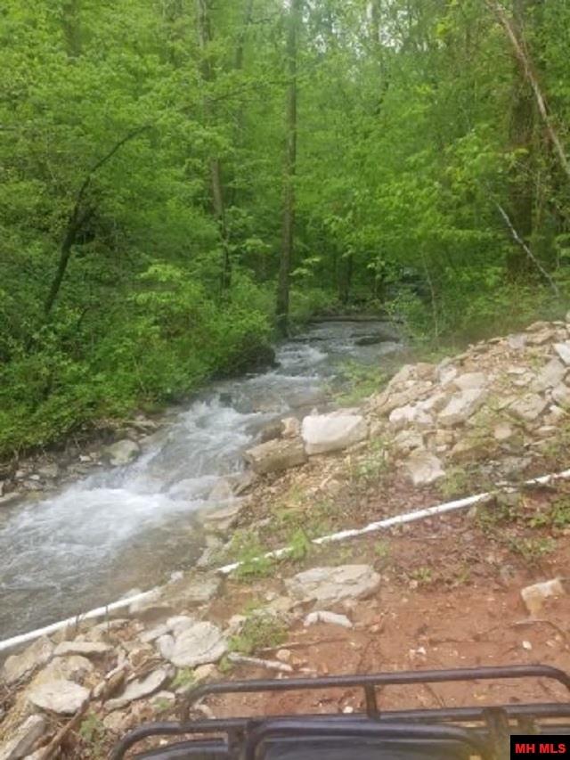 1826 MC 5013 Everton, AR 72633