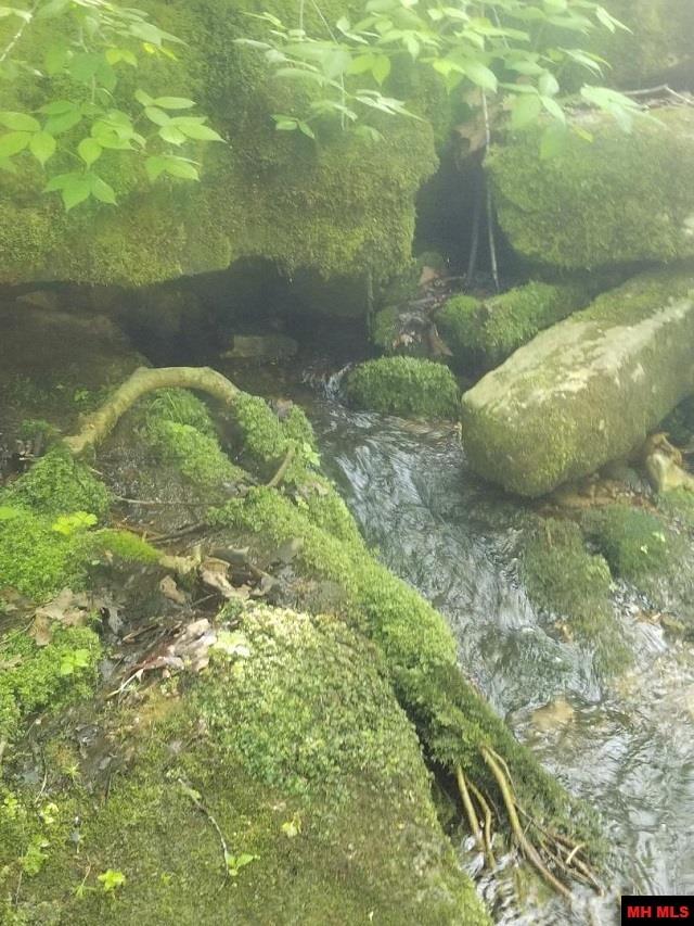 1826 MC 5013 Everton, AR 72633