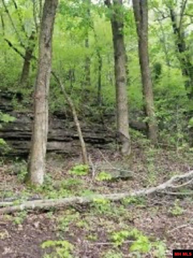 1826 MC 5013 Everton, AR 72633