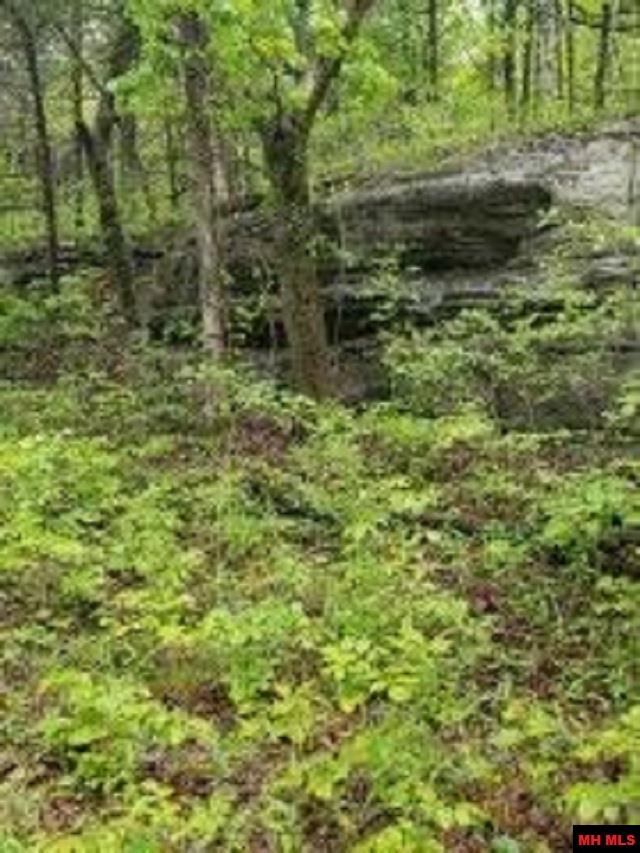 1826 MC 5013 Everton, AR 72633