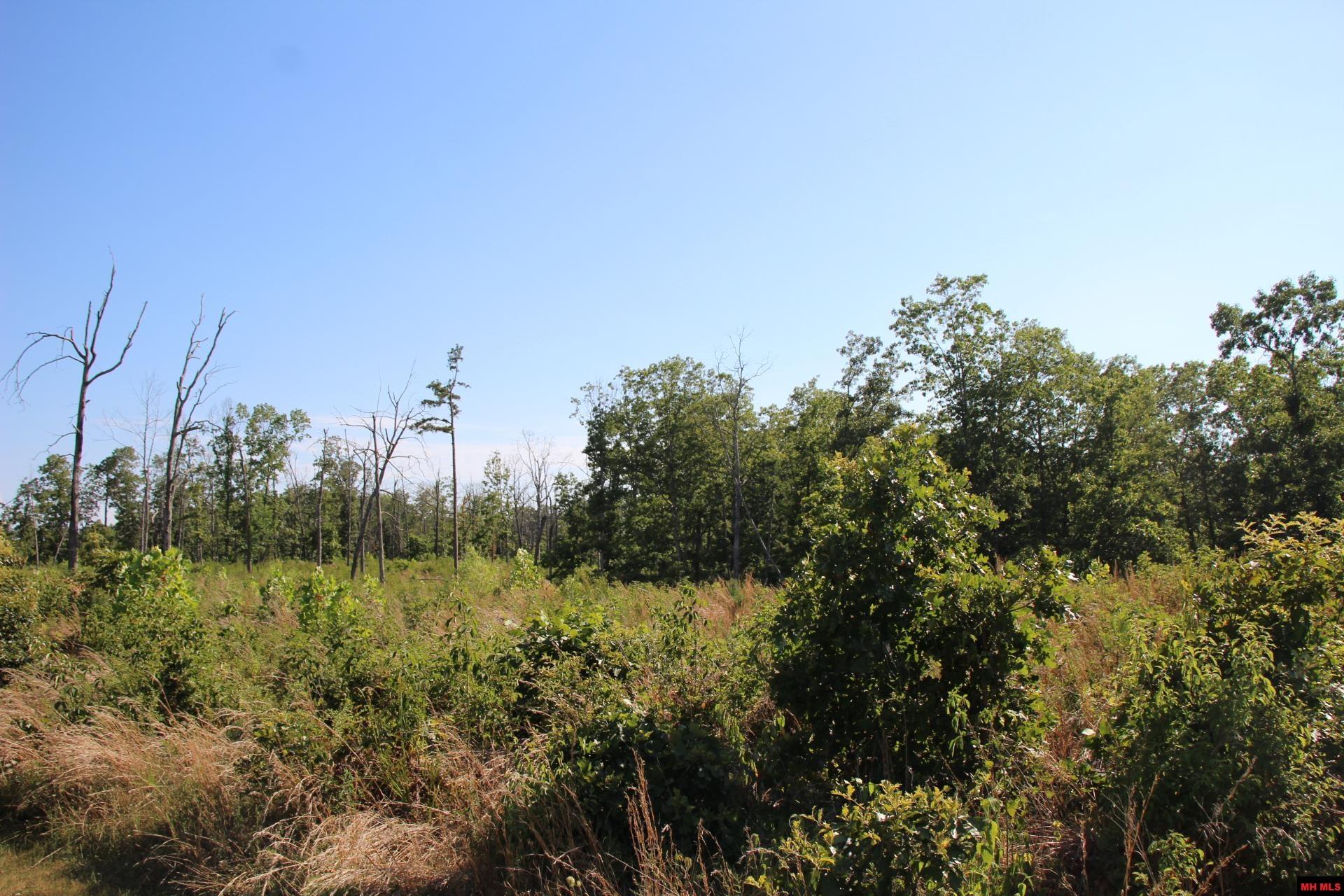 Land and Lots For Sale In Yellville Arkansas