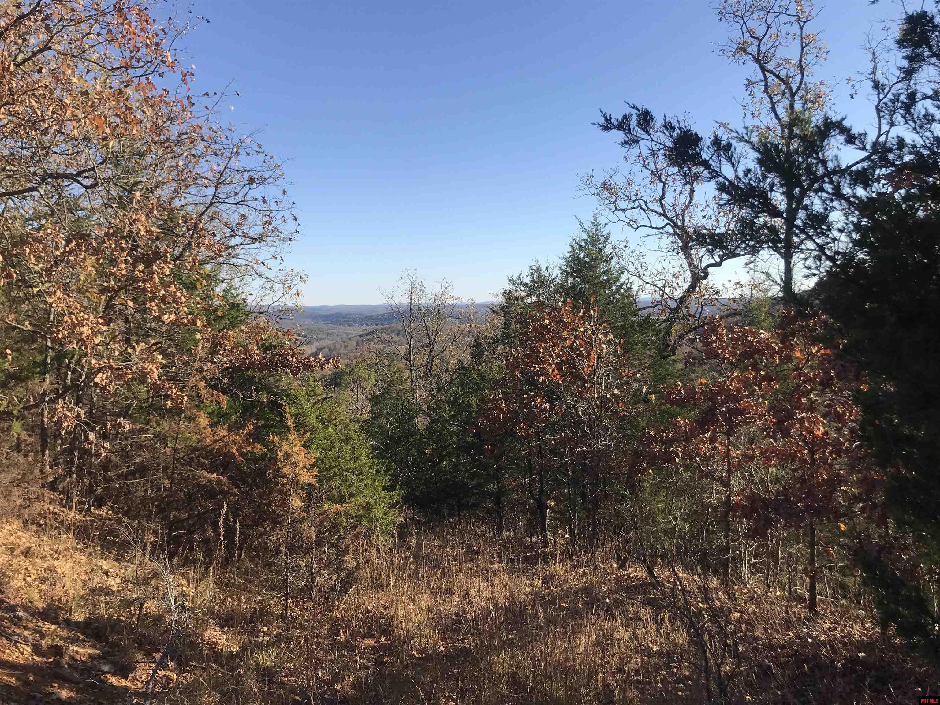 Land and Lots For Sale In Yellville Arkansas