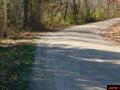 Thumbnail Photo
