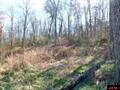 Thumbnail Photo