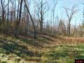 Thumbnail Photo