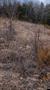 Thumbnail Photo