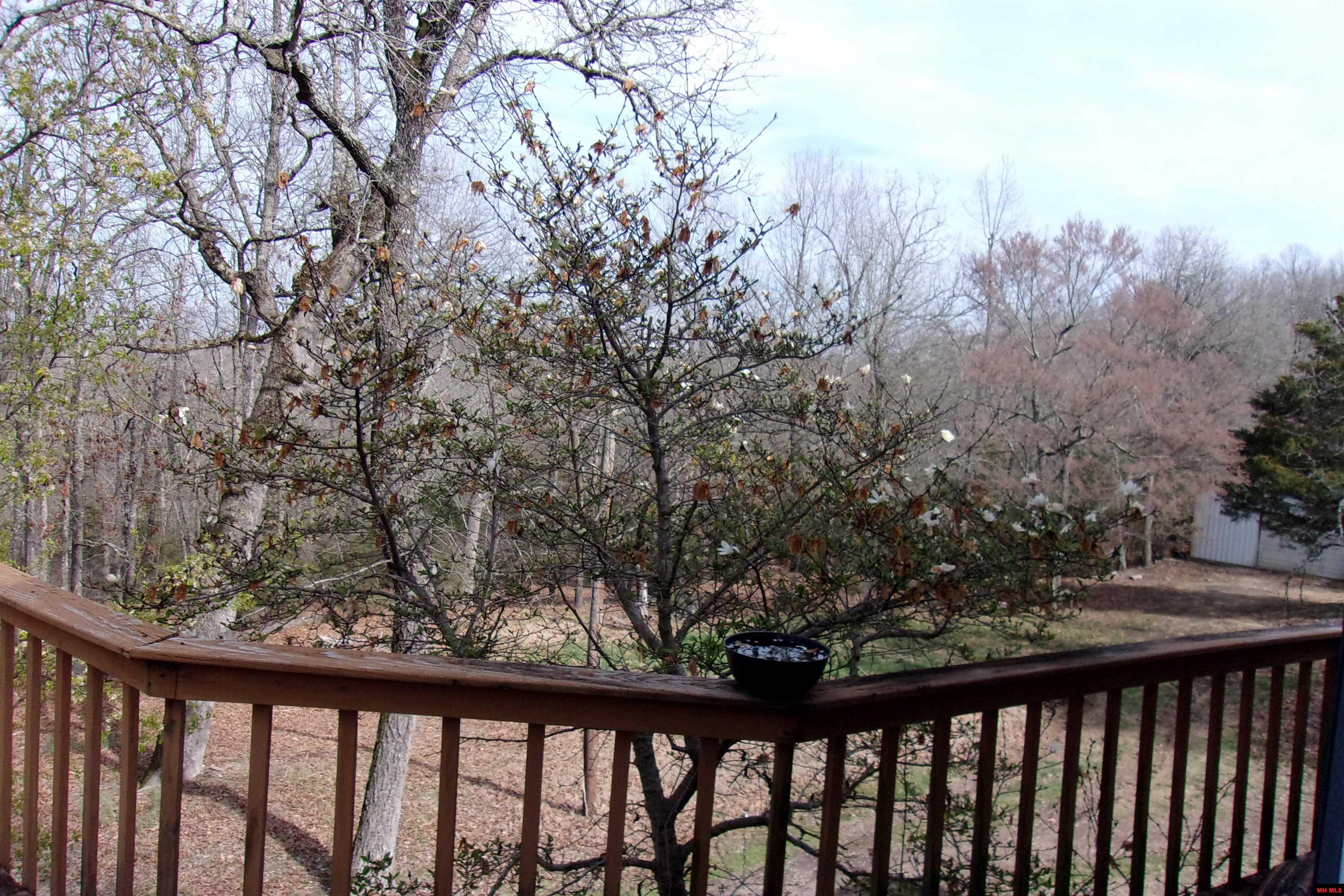 384 BRUSHY KNOB TRAIL Mountain Home, AR