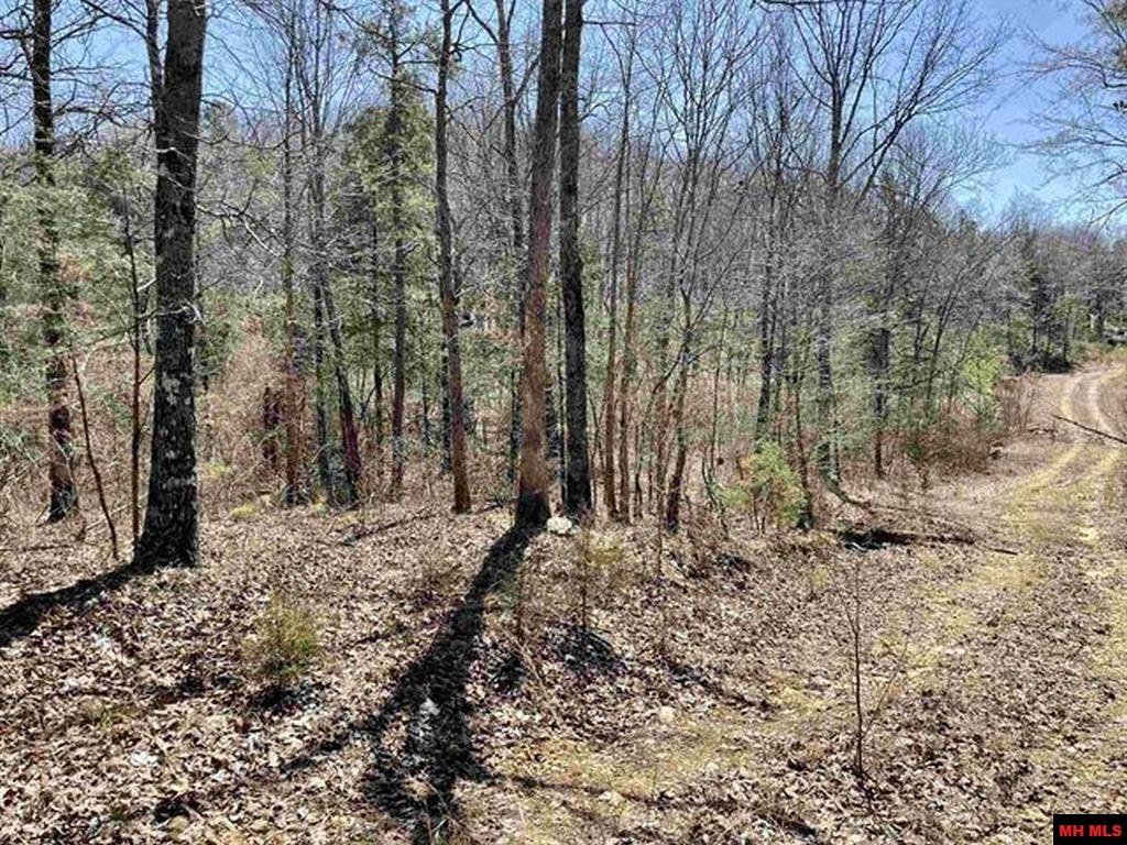 777 WAYLAND ARBOR ROAD Dolph, AR
