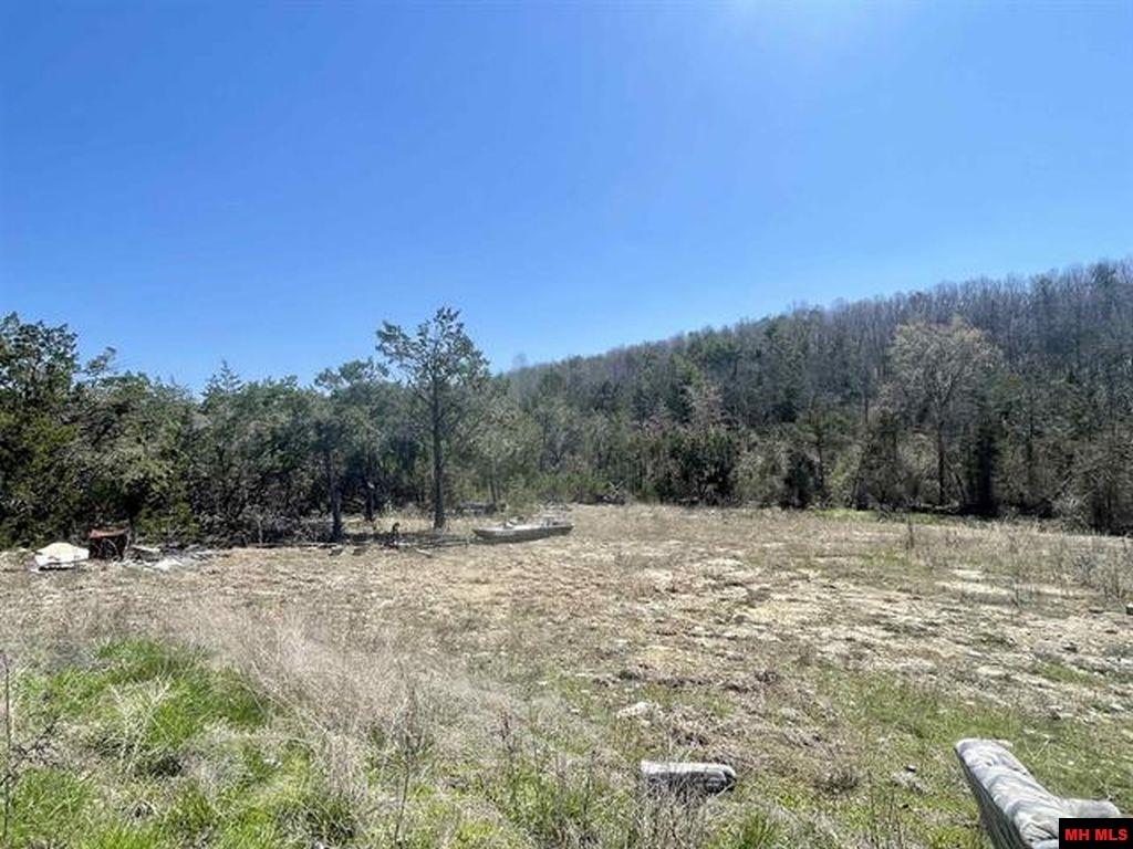 777 WAYLAND ARBOR ROAD Dolph, AR