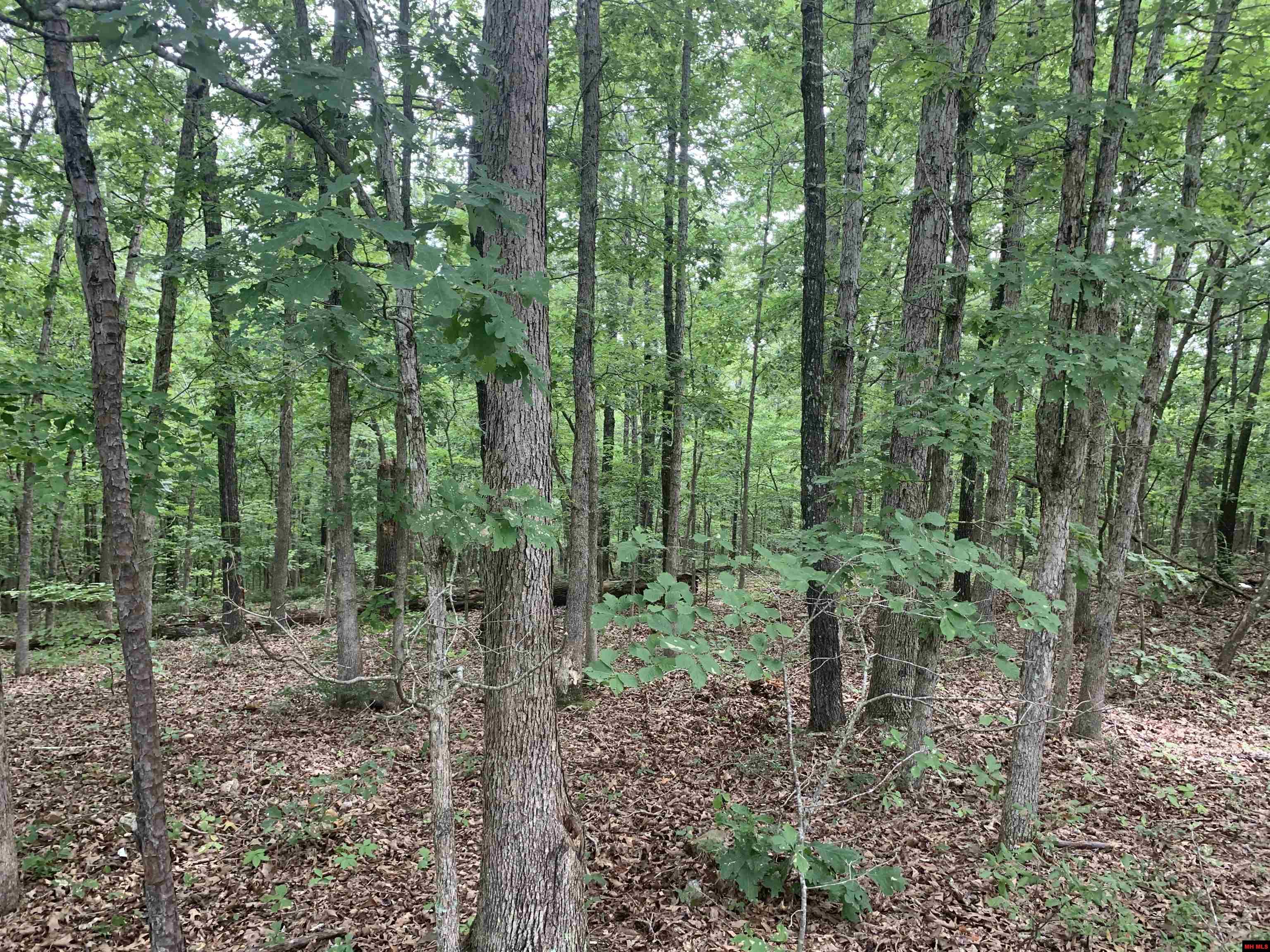 Land and Lots For Sale In Yellville Arkansas