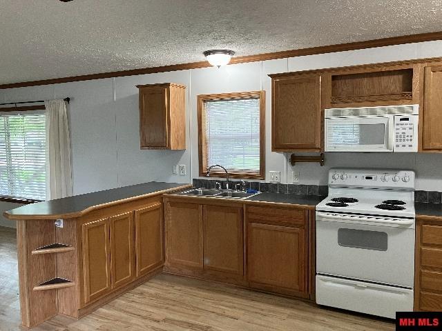 217 WEHMEYER LOOP Mountain Home, AR