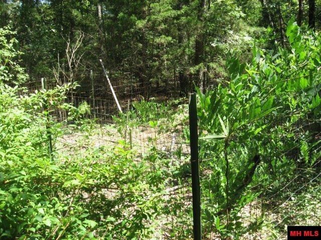 1144 SYCAMORE SPRINGS ROAD Mountain Home, AR