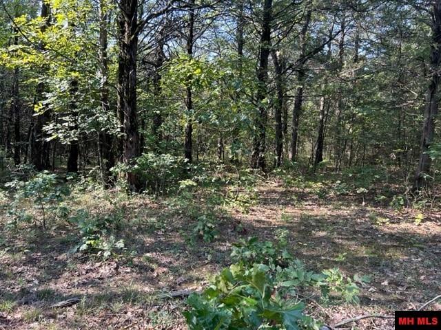 001-05276-003 Inverness Drive