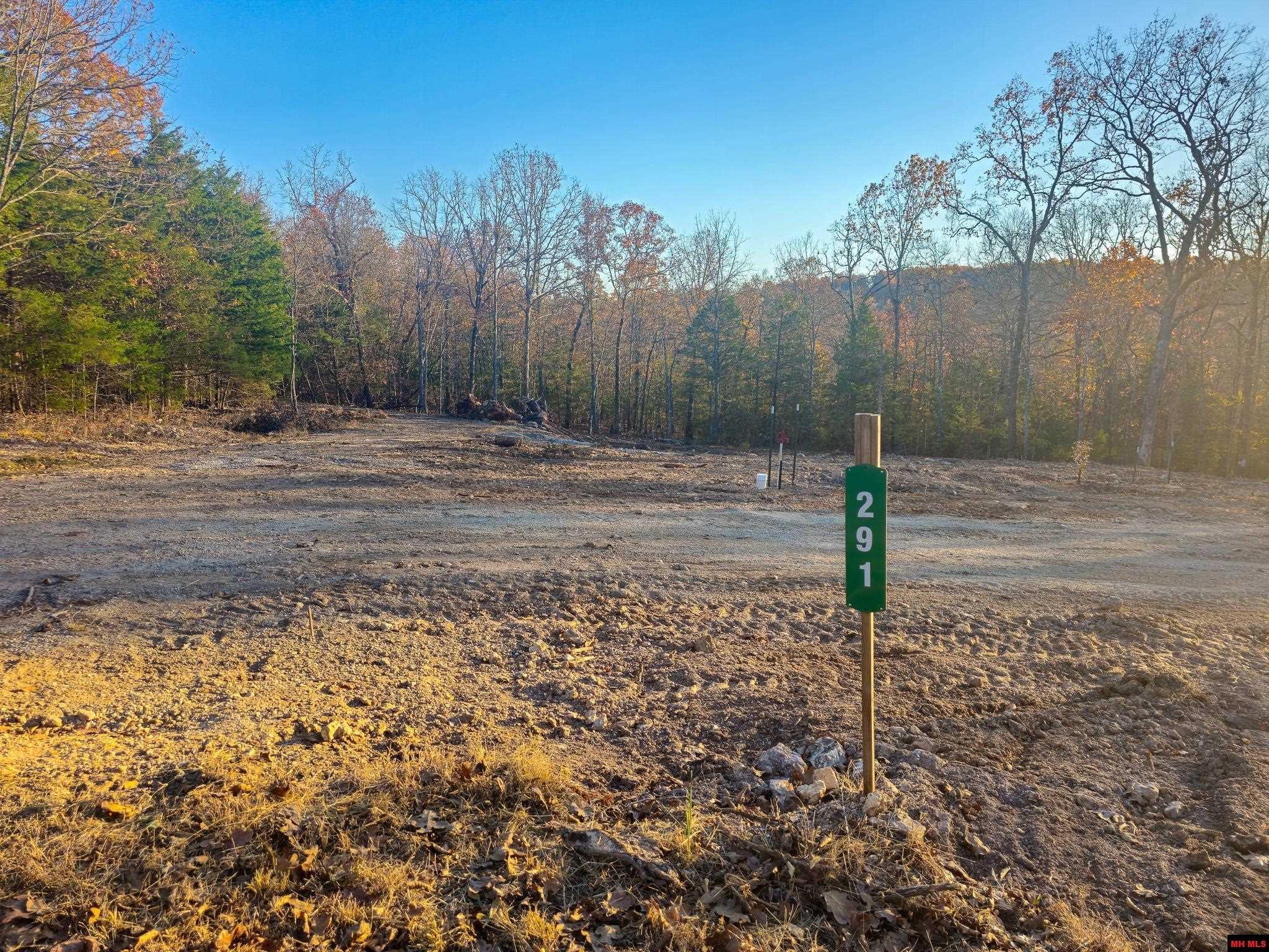 291 LAKEVIEW DRIVE Mountain Home AR Subdivisions For Sale Listing