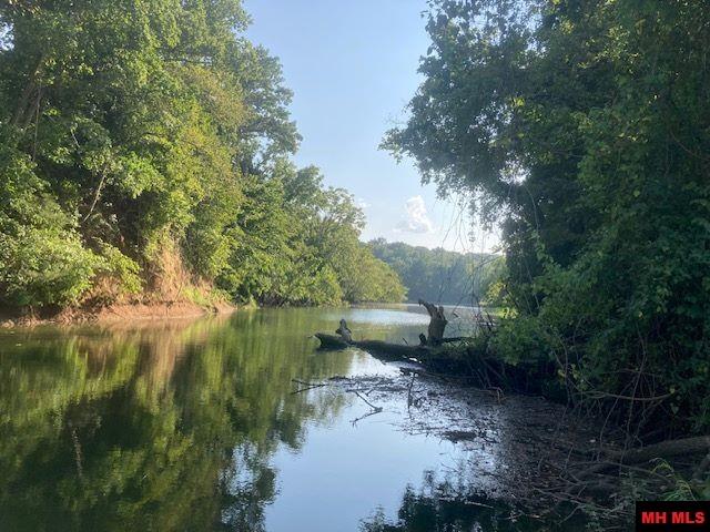 227 TROPHY COURT Cotter, AR