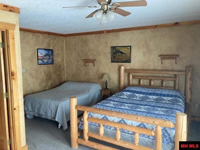 227 TROPHY COURT Cotter, AR